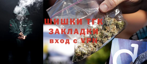 сатива Нягань