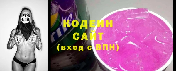 дживик Няндома