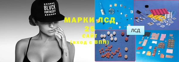 дживик Баксан