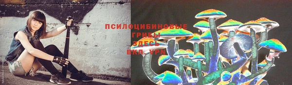 гидра Балахна
