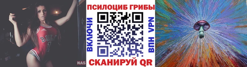 наркотики Мензелинск Псилоцибиновые грибы ЛСД
